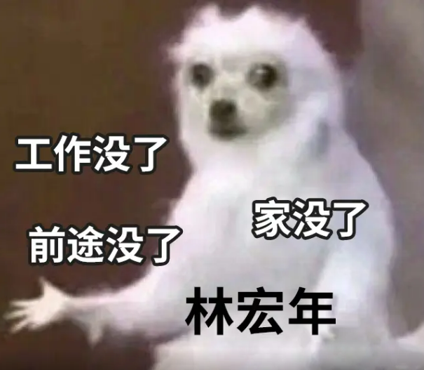 image-20220731210800741